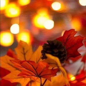 Meet your Posher, Peyton